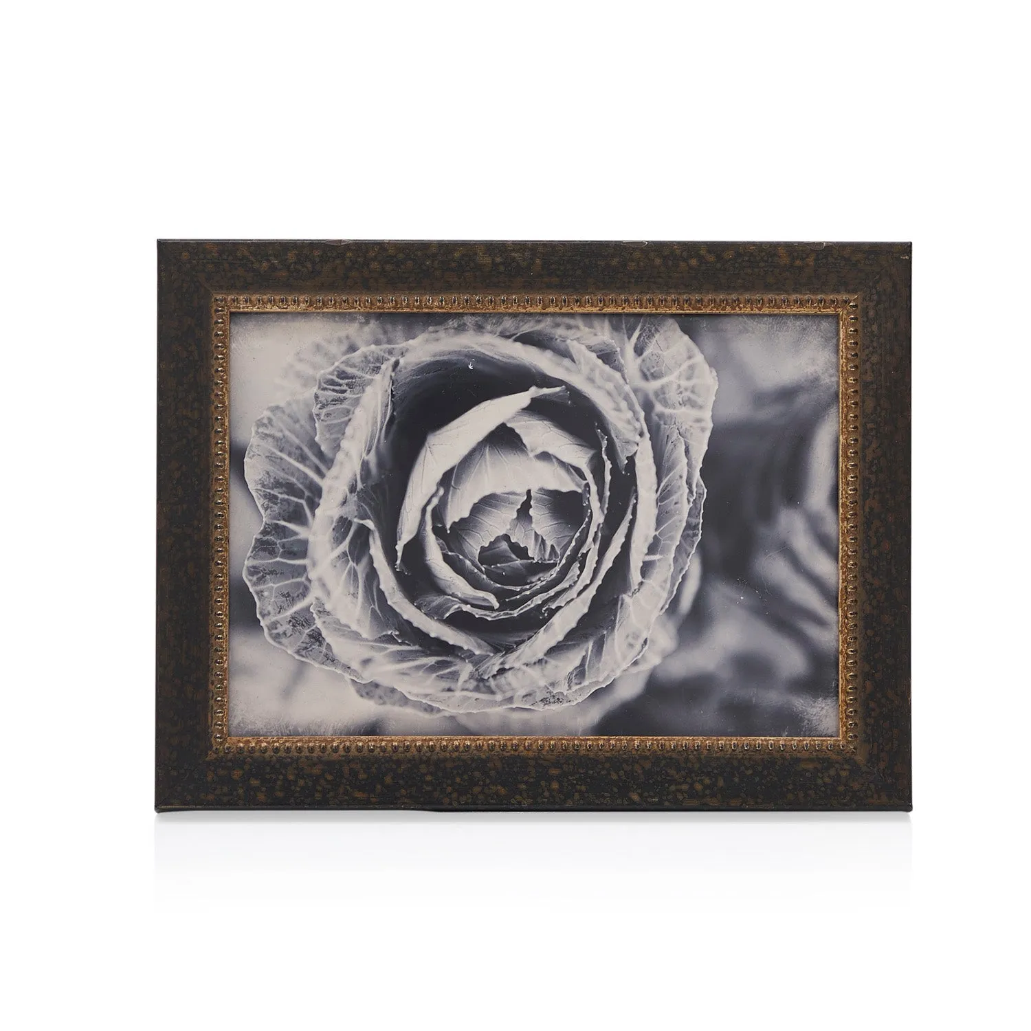 0075 (A D) BW Framed Cabbage