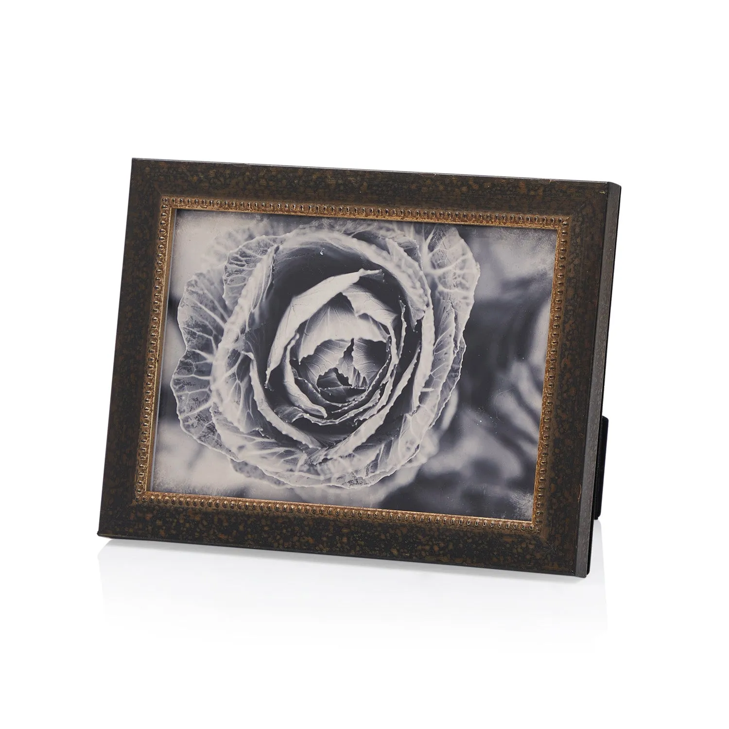 0075 (A D) BW Framed Cabbage