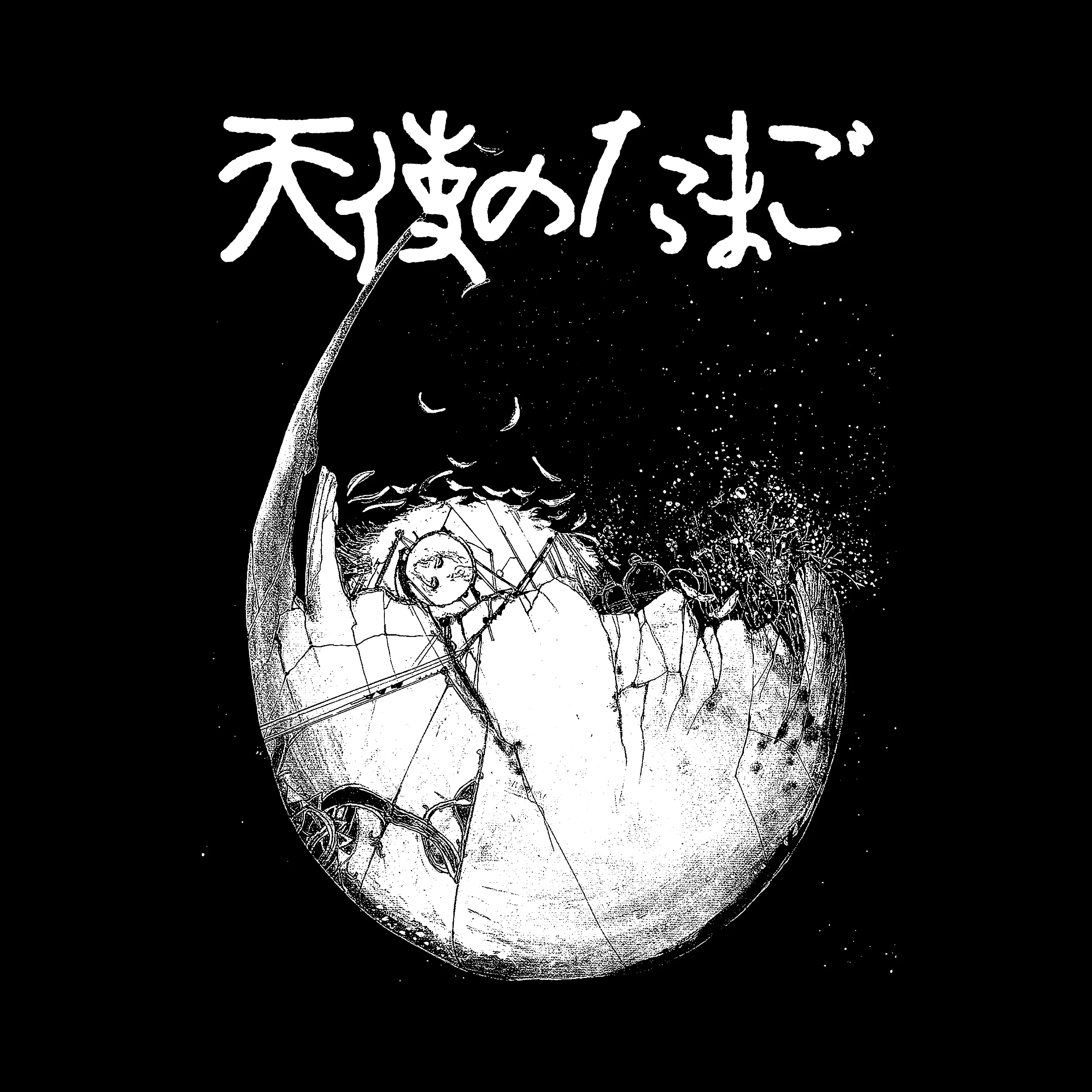 Angel's Egg Slim Fit Tee