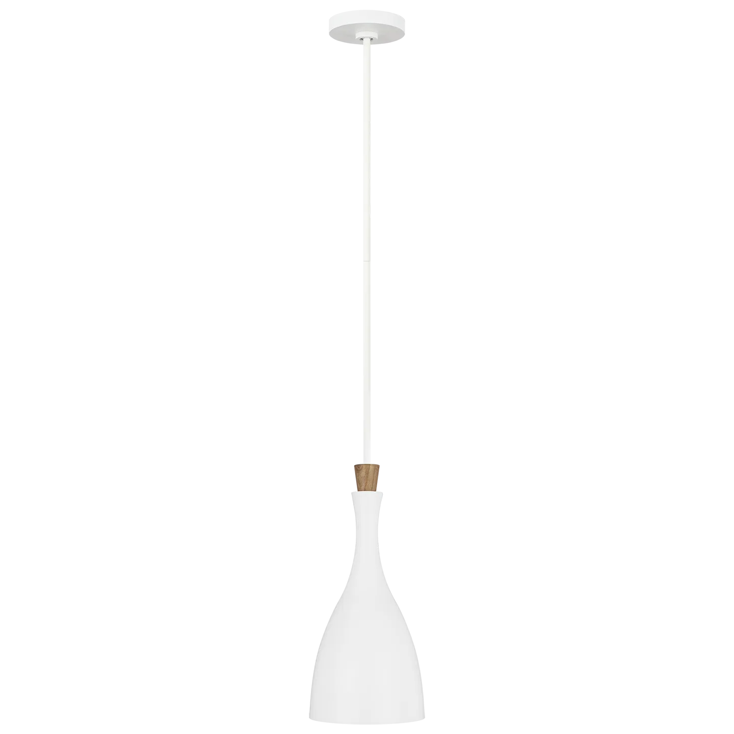 Darwin Small Pendant