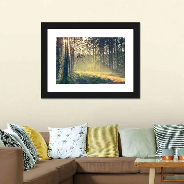 Evening Forest With Sun Canvas Wall Art