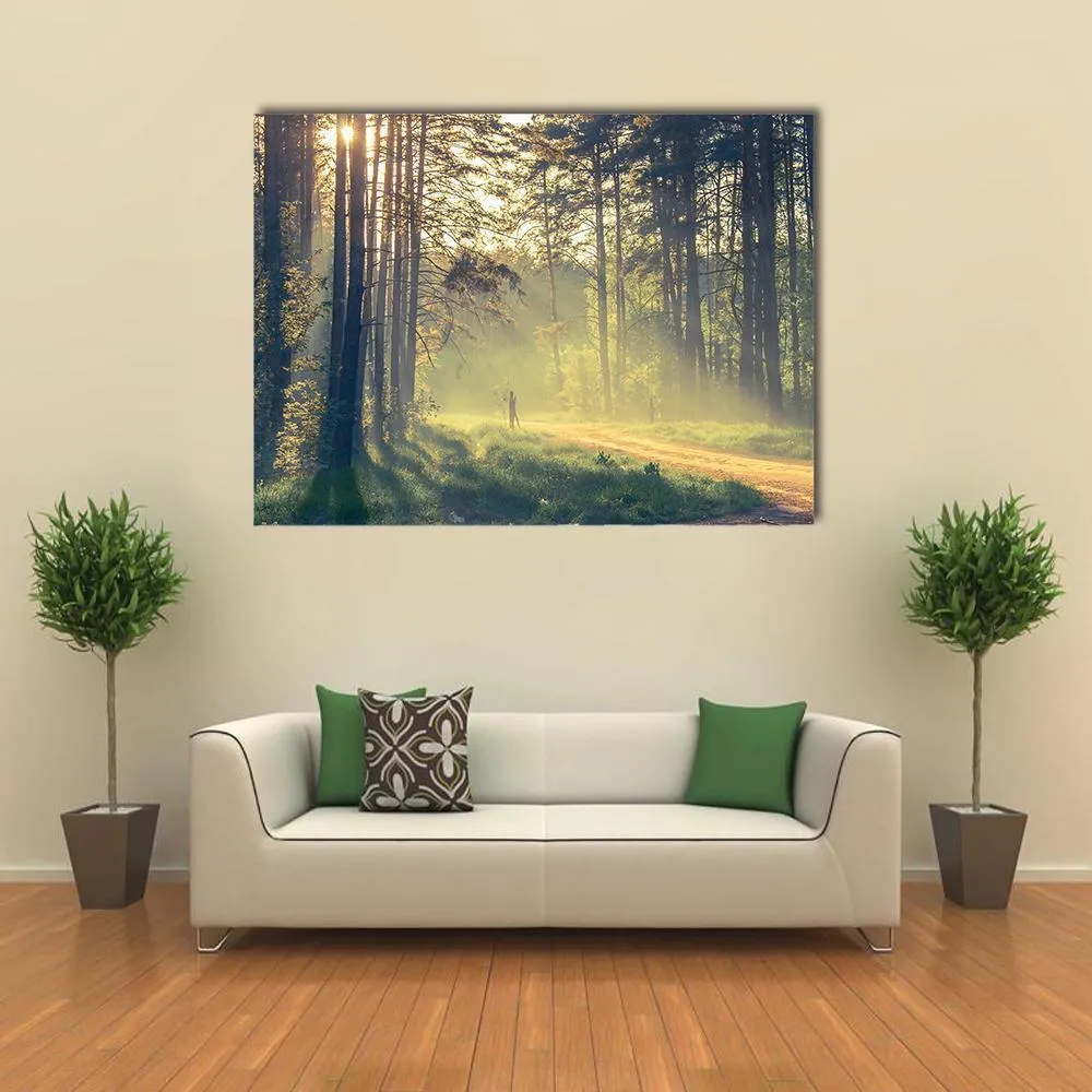 Evening Forest With Sun Canvas Wall Art