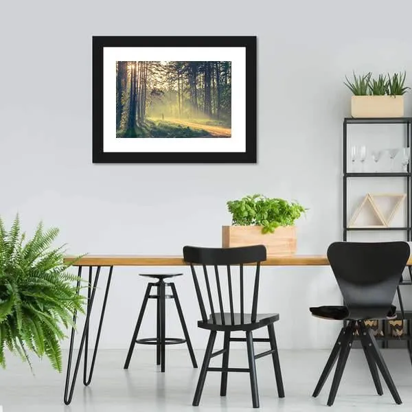 Evening Forest With Sun Canvas Wall Art