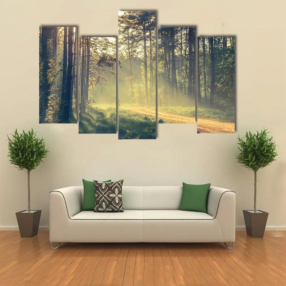 Evening Forest With Sun Canvas Wall Art