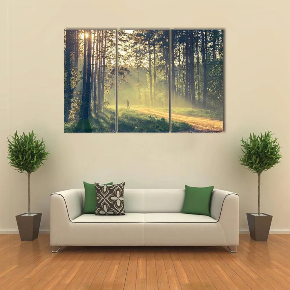 Evening Forest With Sun Canvas Wall Art