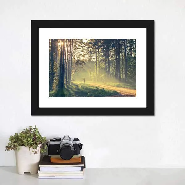 Evening Forest With Sun Canvas Wall Art