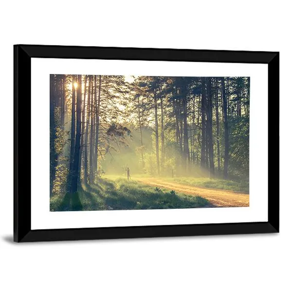 Evening Forest With Sun Canvas Wall Art