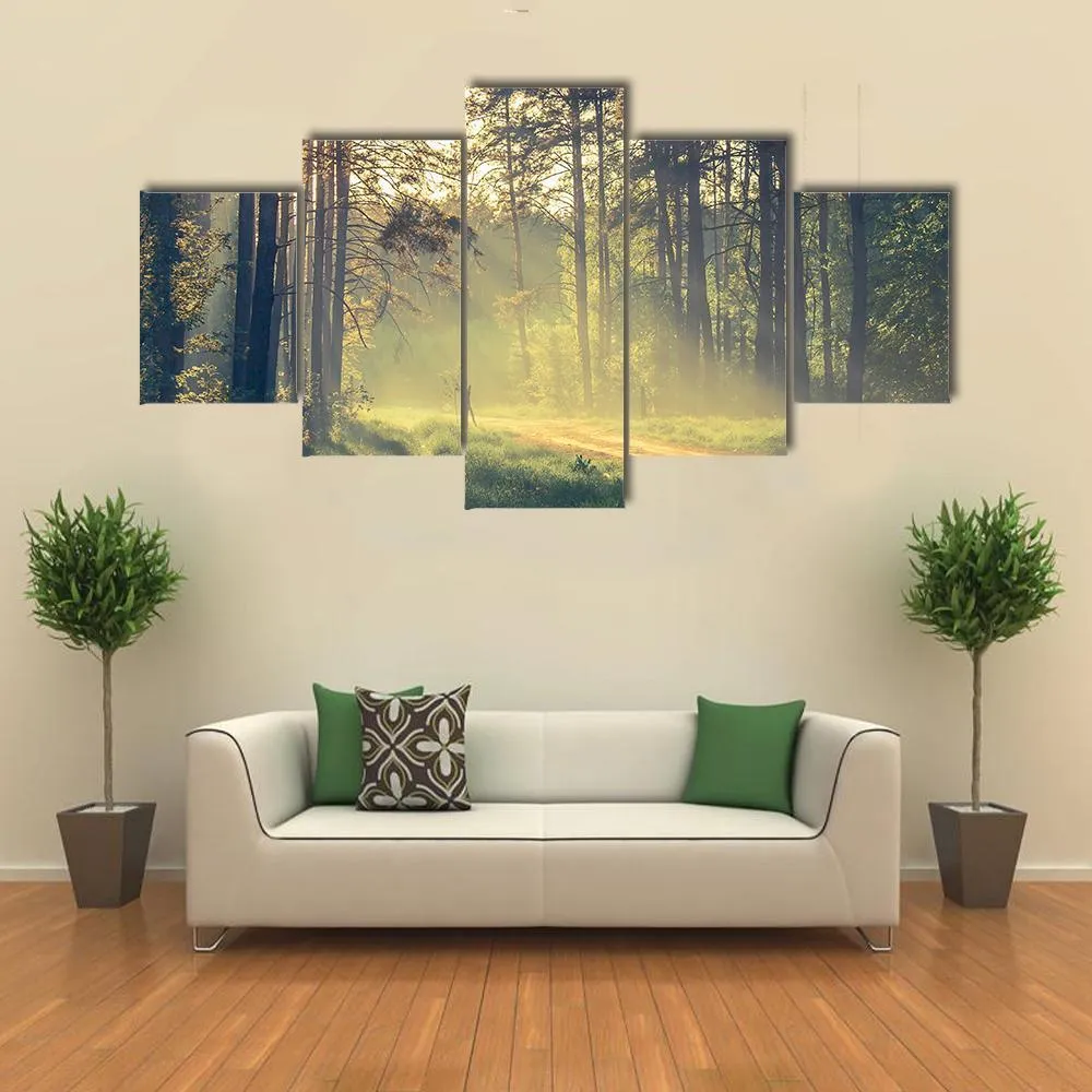 Evening Forest With Sun Canvas Wall Art