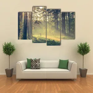 Evening Forest With Sun Canvas Wall Art