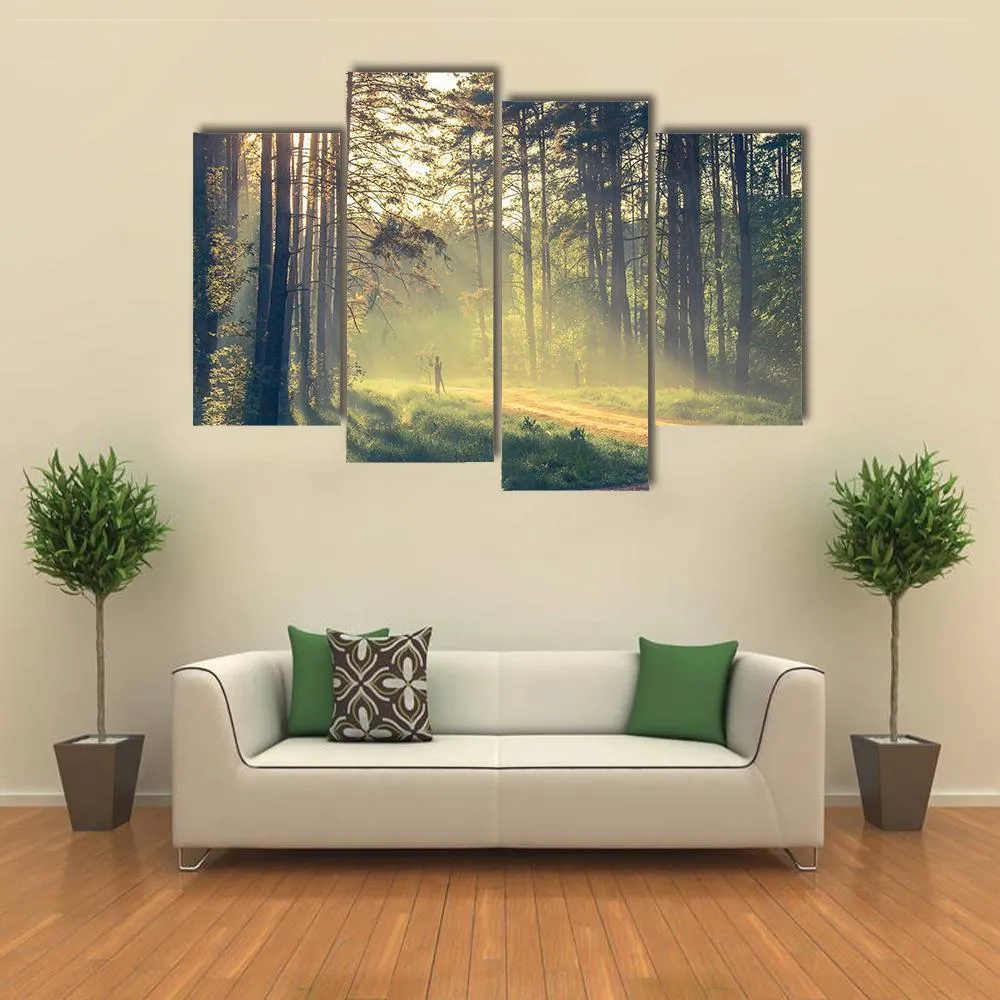 Evening Forest With Sun Canvas Wall Art