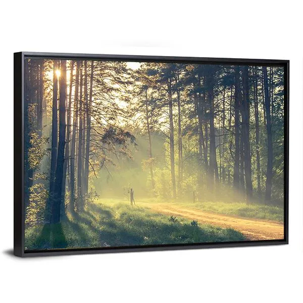 Evening Forest With Sun Canvas Wall Art