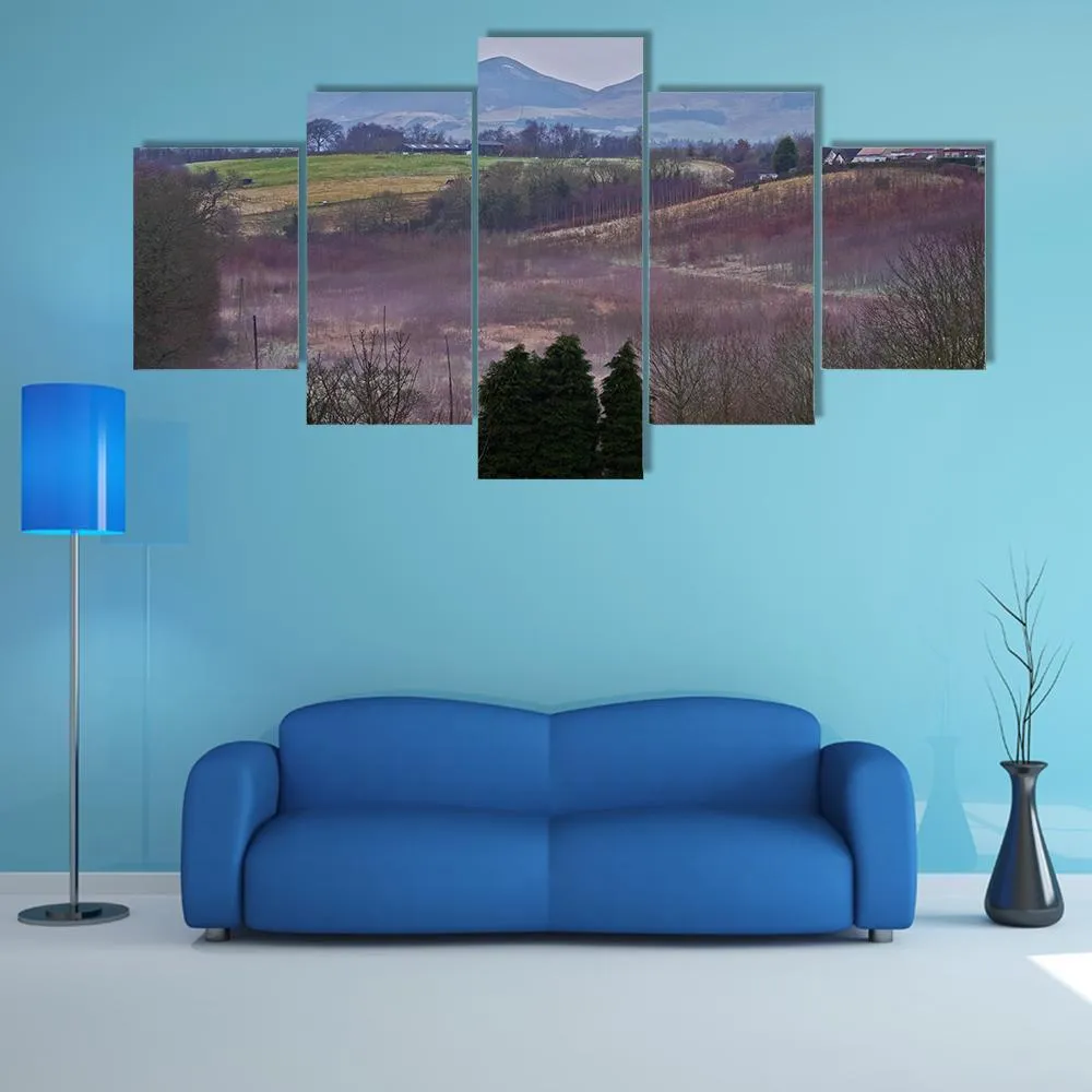 Landscape Of Roslin Canvas Wall Art