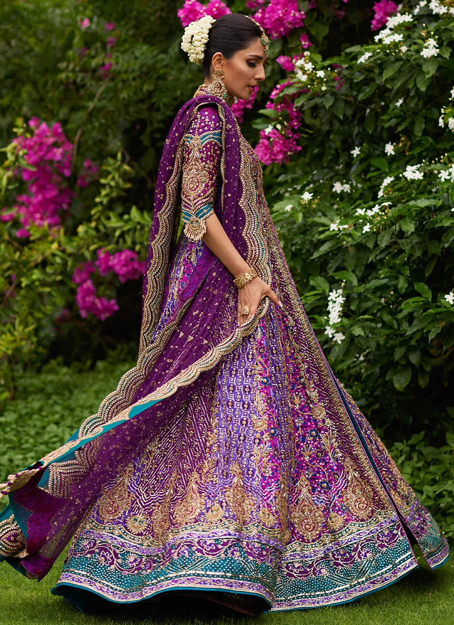 Zeenat Aubergine